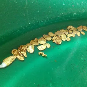 mid summer pickers