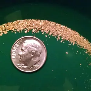 panning 1/2 day