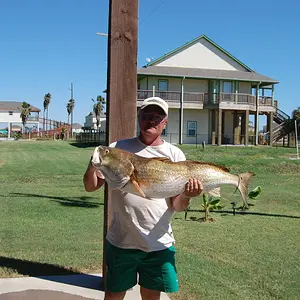 IMG 0002