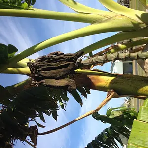 IMG 0314