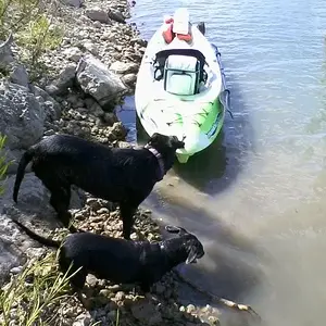 phone pics 115