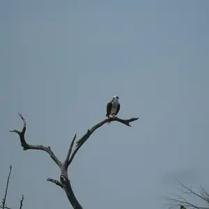 good pics 058