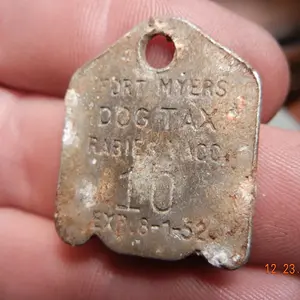 DSCN1320 dog tag