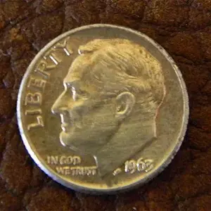 1963 rose back