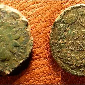 1895 indian
