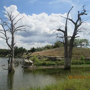 river 013