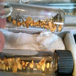 some of the collection