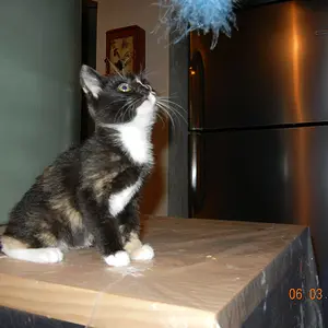 DSCN1176