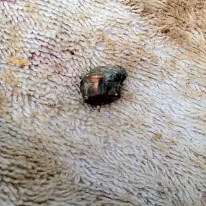 Copper bullet possibly 45