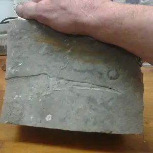 2014 12 30 23.02.45
