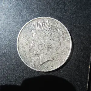 peace dollar 001