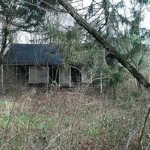 IMAG0157