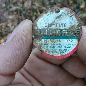 IMAG0158