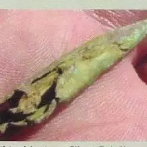 ROLLED COPPER ARROW POINT - YOU CAN SEE WOOD STILL IN IT