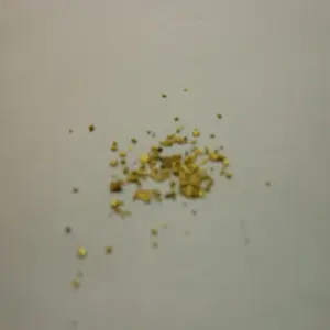 DSCN0374