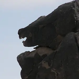 100 5973