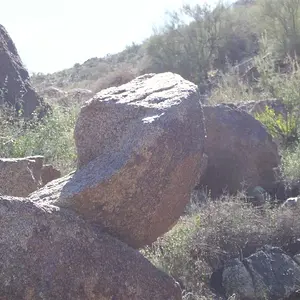 100 1813 (Large)