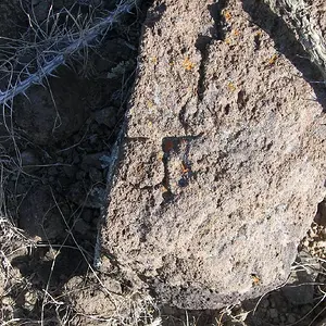 100 0642 R