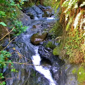 DSCN6827