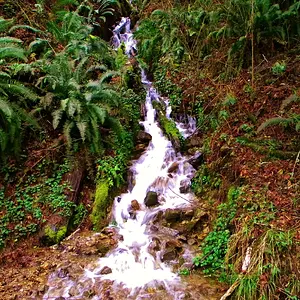 DSCN6571