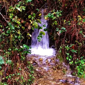 DSCN6578