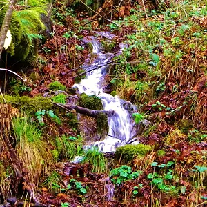 DSCN6566