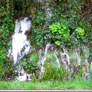 DSCN6457