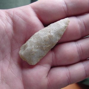 indian arrowhead