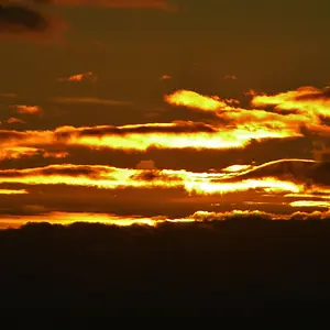 DSCN6674