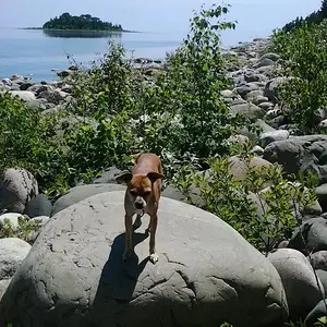 2014 06 27 14.47.19 1