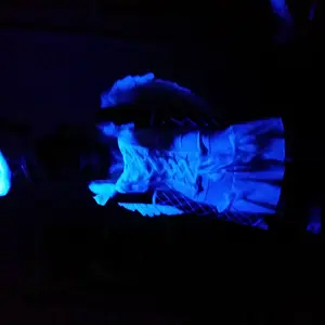 20141031 200053