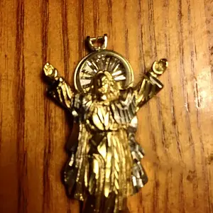 Jesus 417 found with Sand Shark in the water
