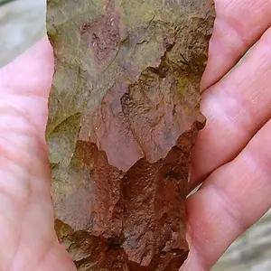P3170247