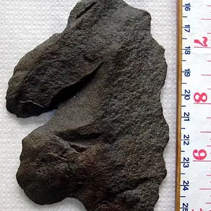 P4020023