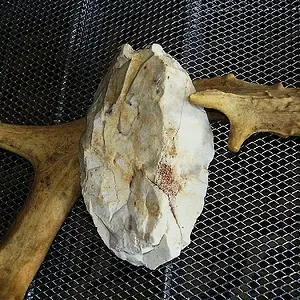 PA030142