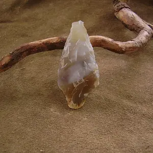 P7010027