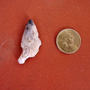 P8030065