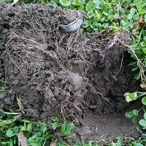 IMG 20150325 102526