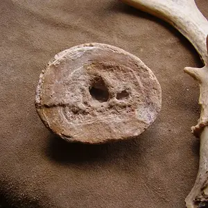 P9250106