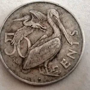 isalas virgenes 1973