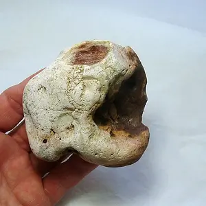 P8080014