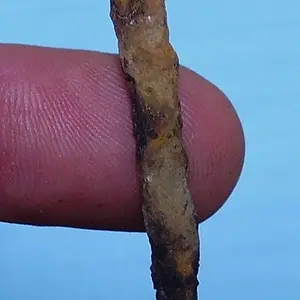 Picture or Video 111