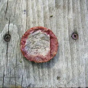 P6050002