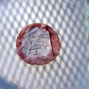 P6050001