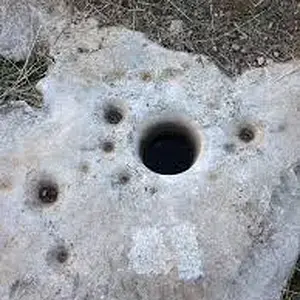 جوغان دایره بزر