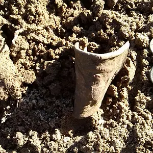 Dug in Worth County Georgia farm field on Feb 8, 2015 ----Early version of 1851 Union Eagle Belt Sword Officers Plate #630