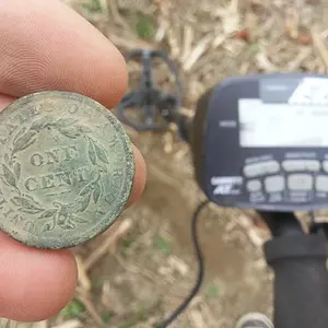 FINE LOOKING PENNY