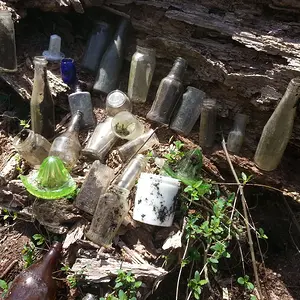 bottle hunting 3