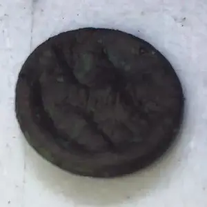 10408130 427767917387820 6770169179844980775 n