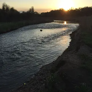 Higher water flow shot of bar that is on the left of the top view